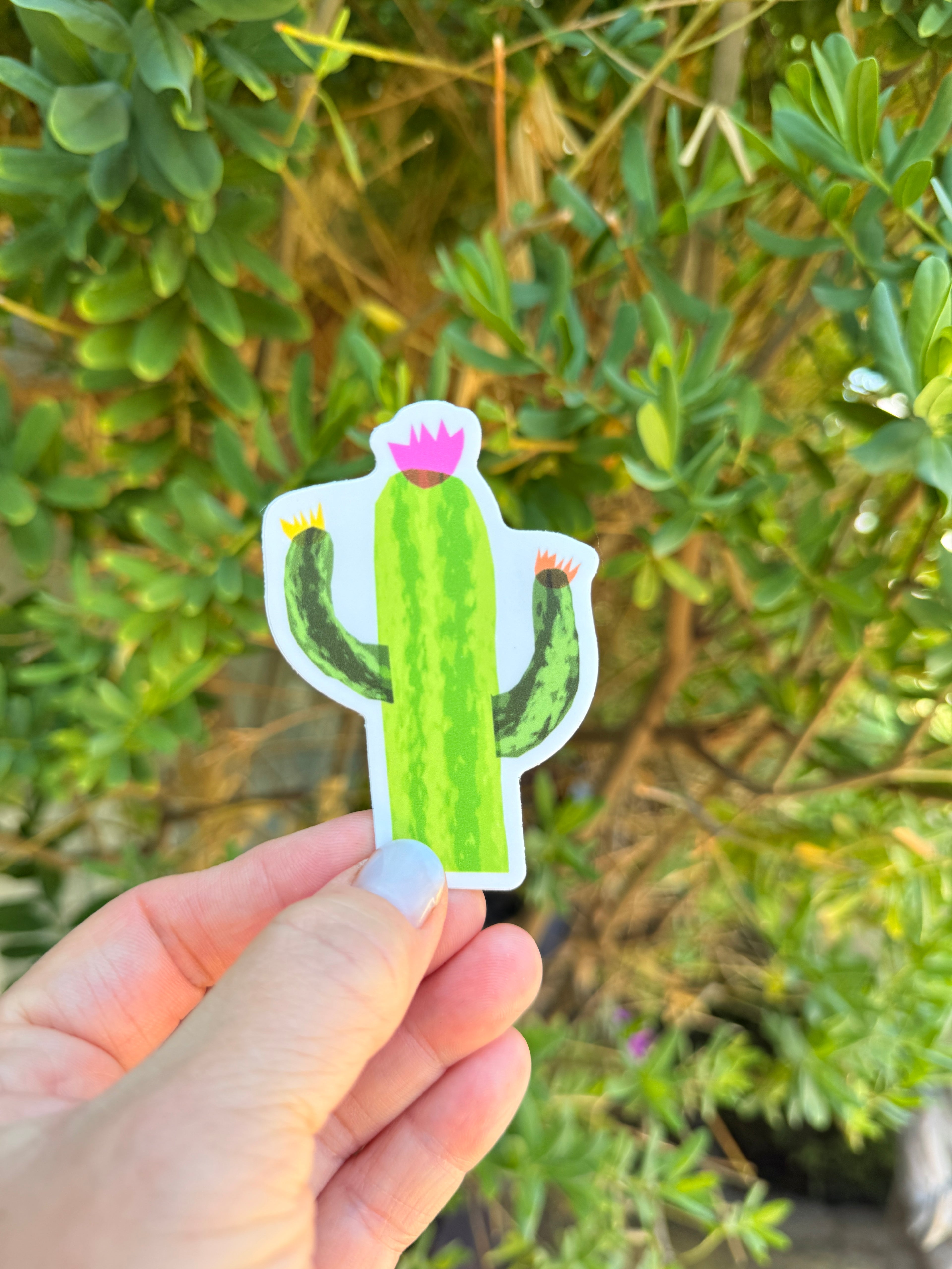 Blooming Cactus Sticker