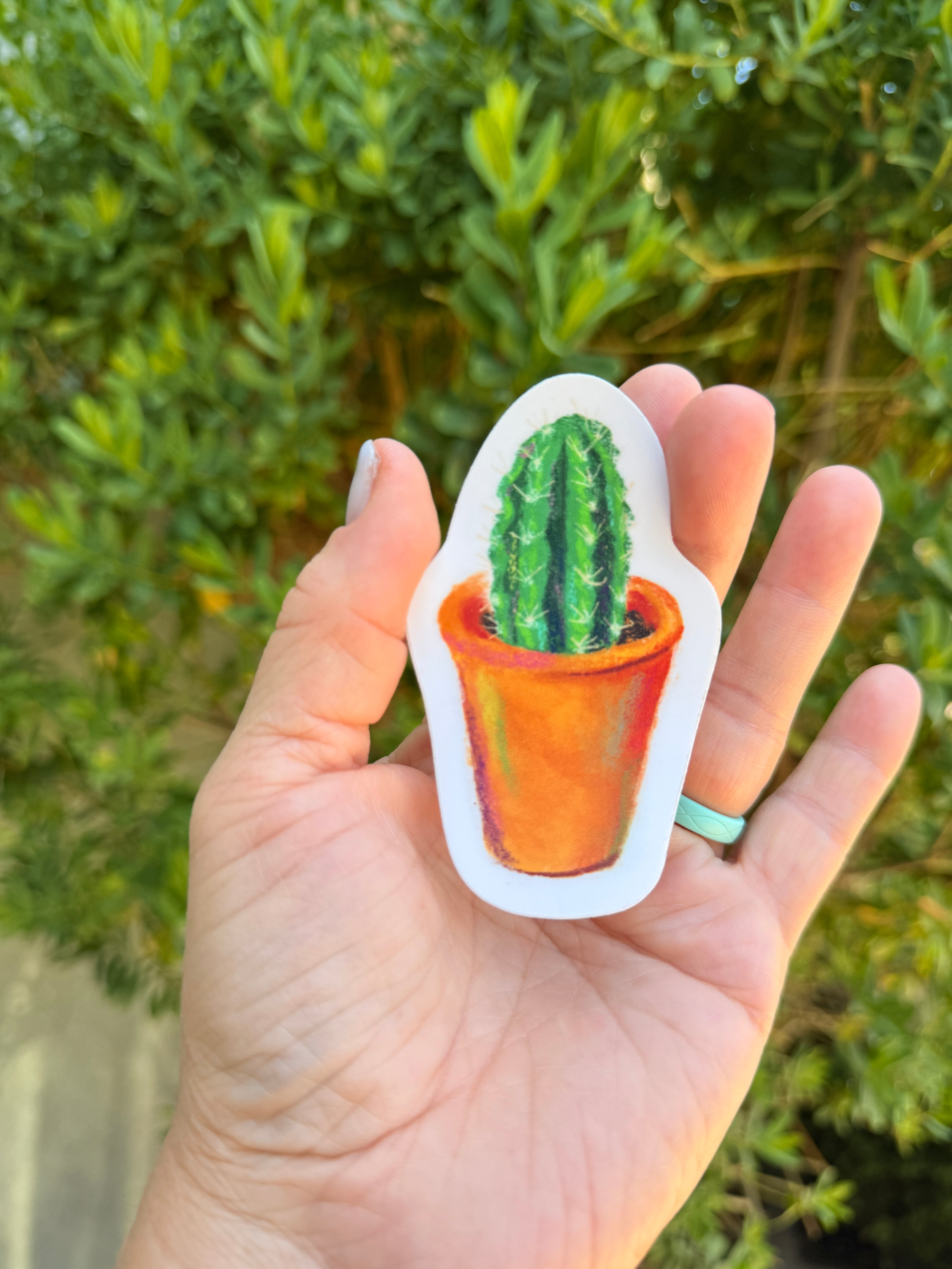 Potted Cactus Sticker