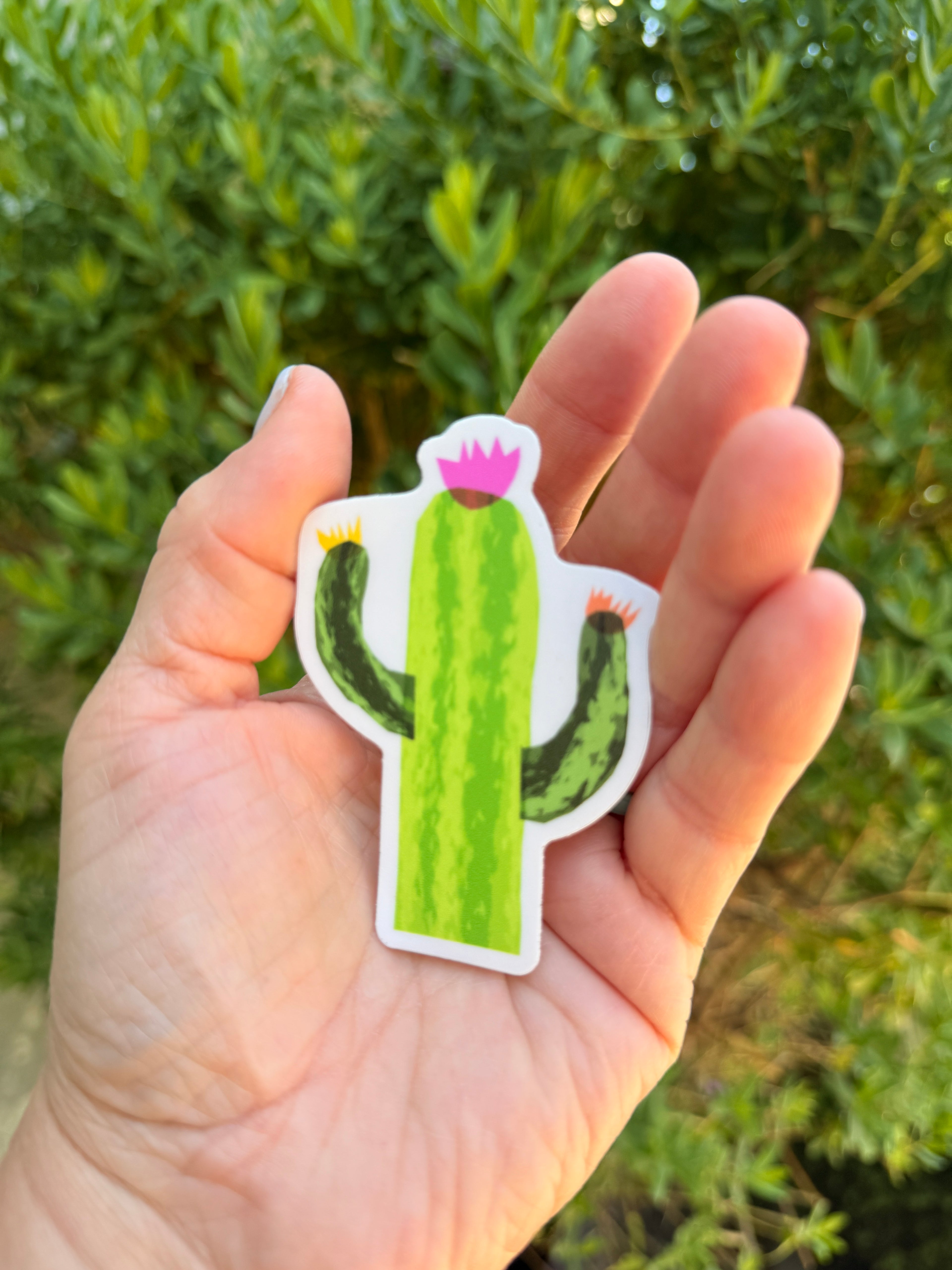 Blooming Cactus Sticker