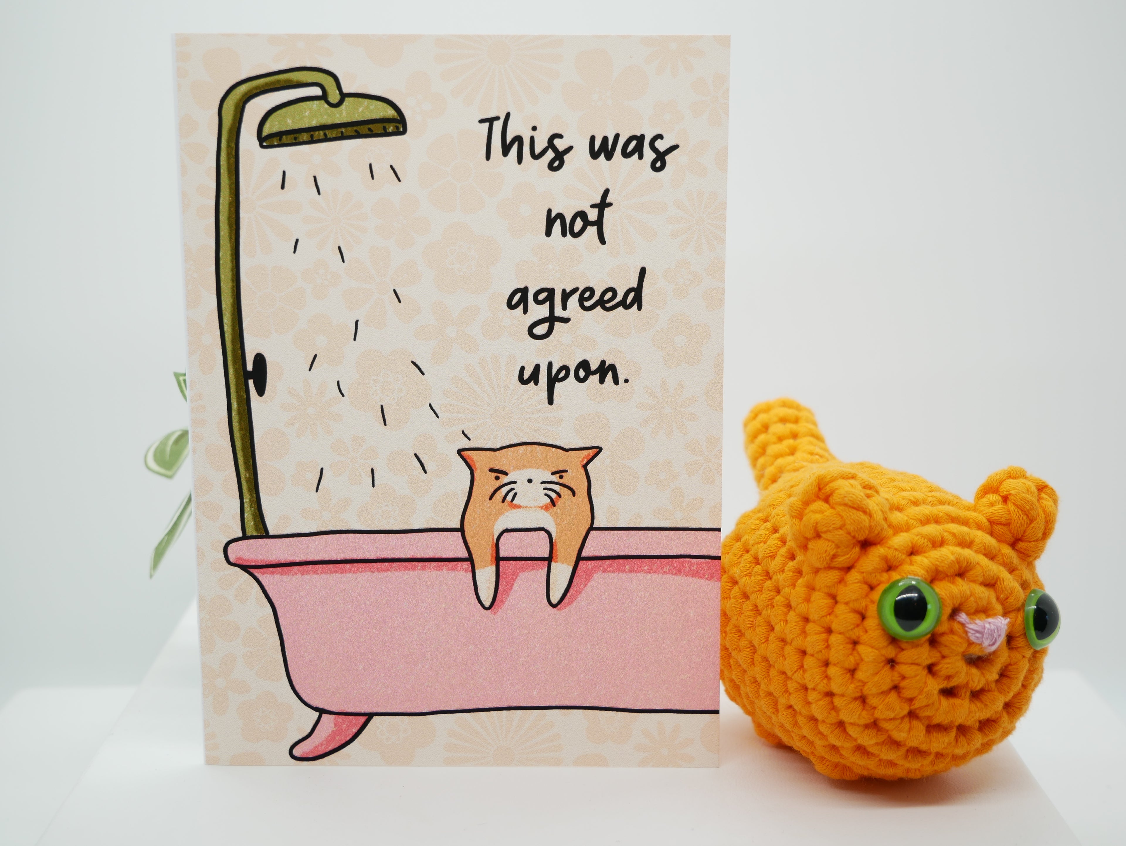 Simba Greeting Card Set