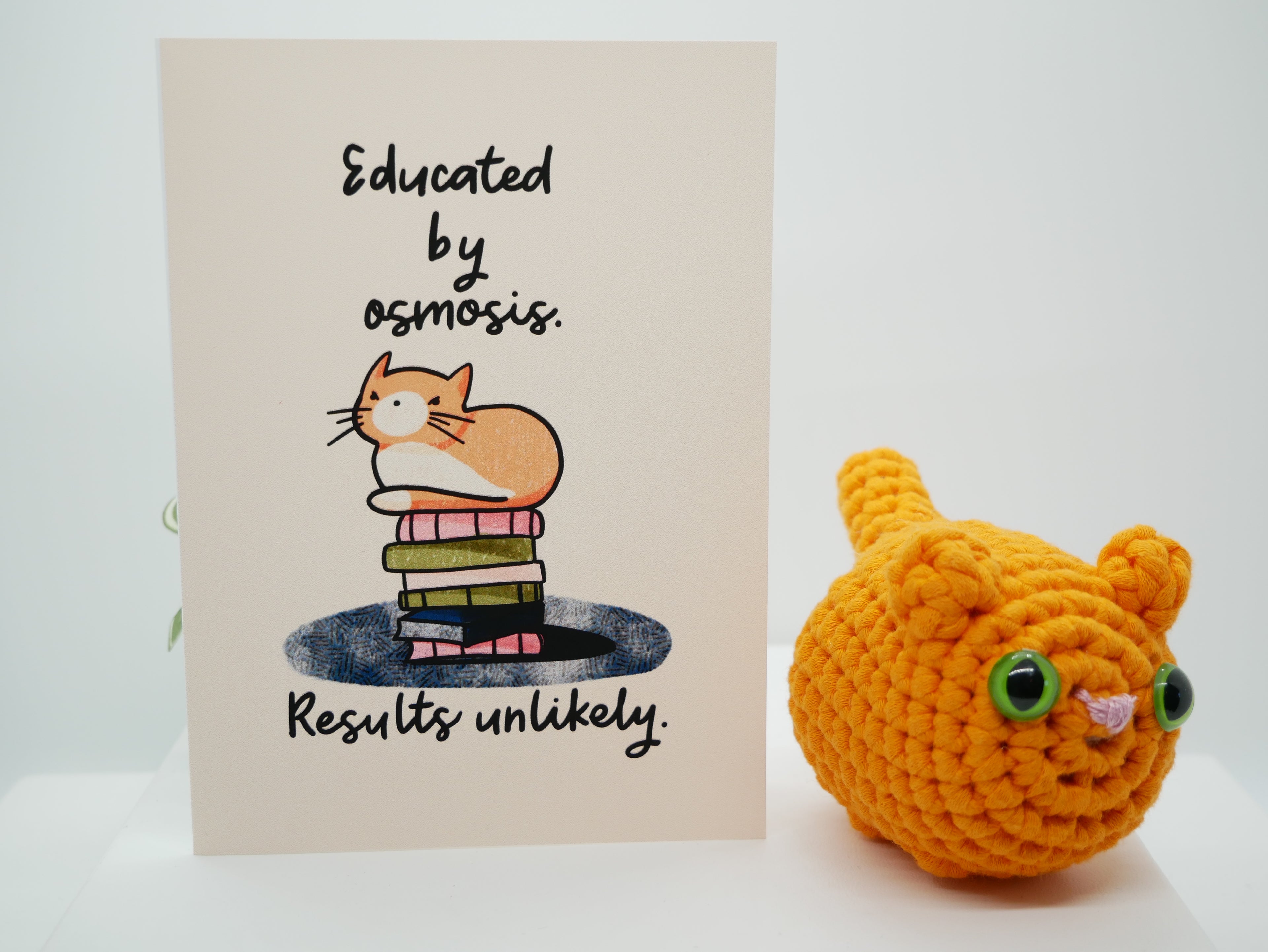 Simba Greeting Card Set