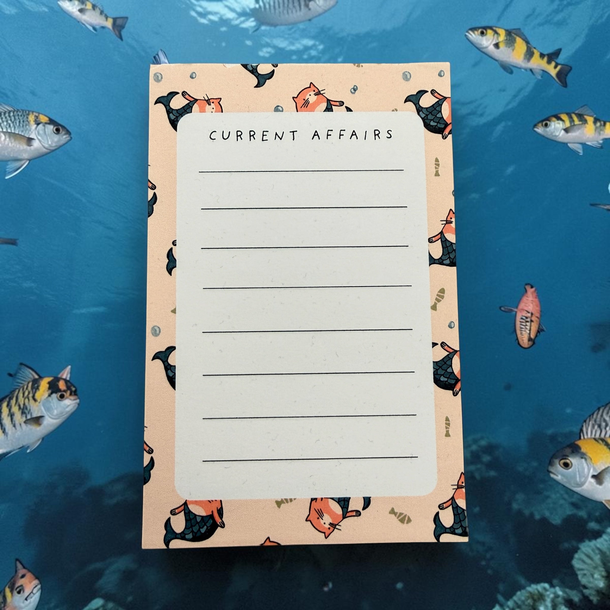 Current Affairs Mer-cat Notepad